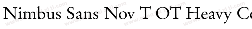 Nimbus Sans Nov T OT Heavy Con Regu字体转换